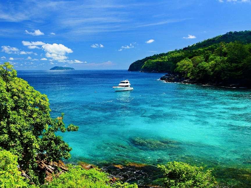 小红帽的冒险之旅